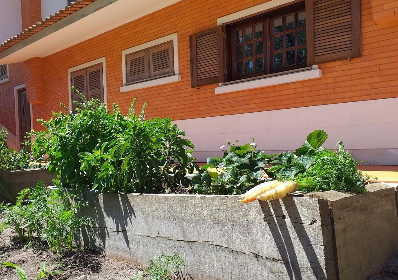 Greenside Of Sea Corujeira المظهر الخارجي الصورة