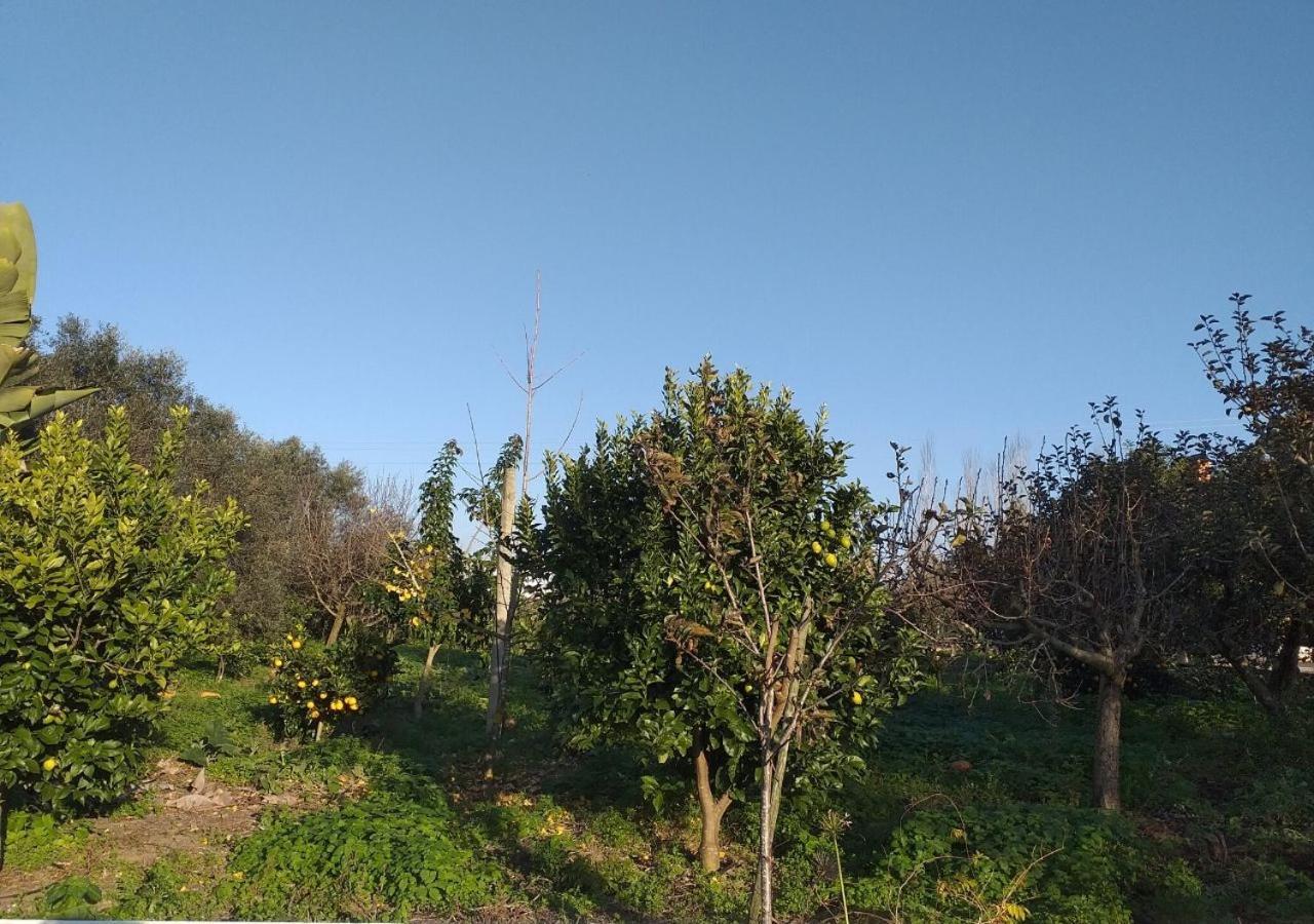 Greenside Of Sea Corujeira المظهر الخارجي الصورة