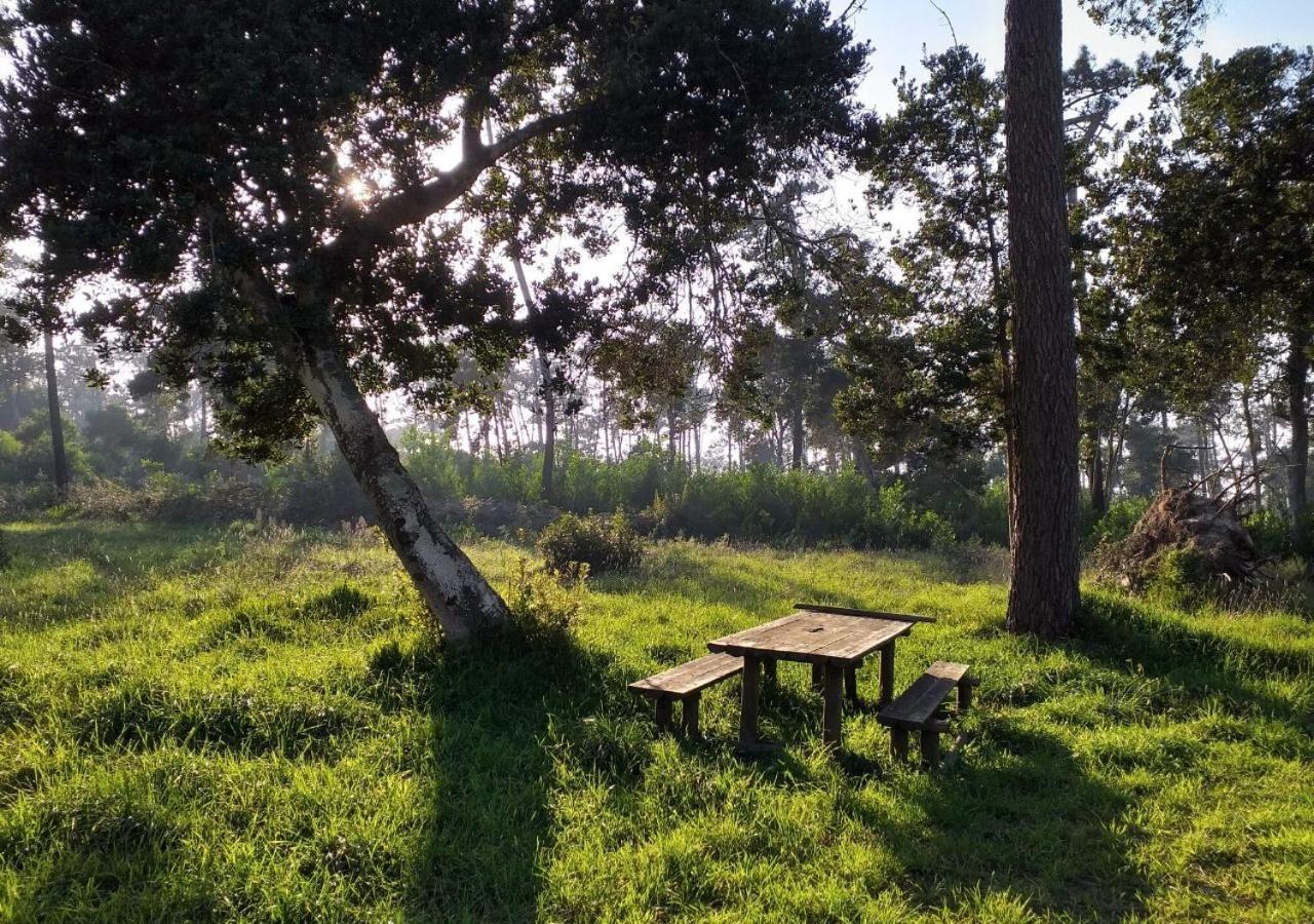 Greenside Of Sea Corujeira المظهر الخارجي الصورة