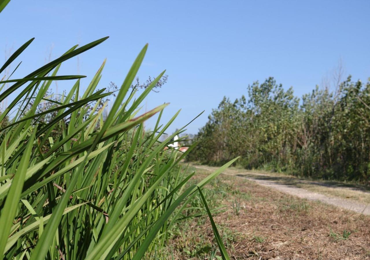 Greenside Of Sea Corujeira المظهر الخارجي الصورة